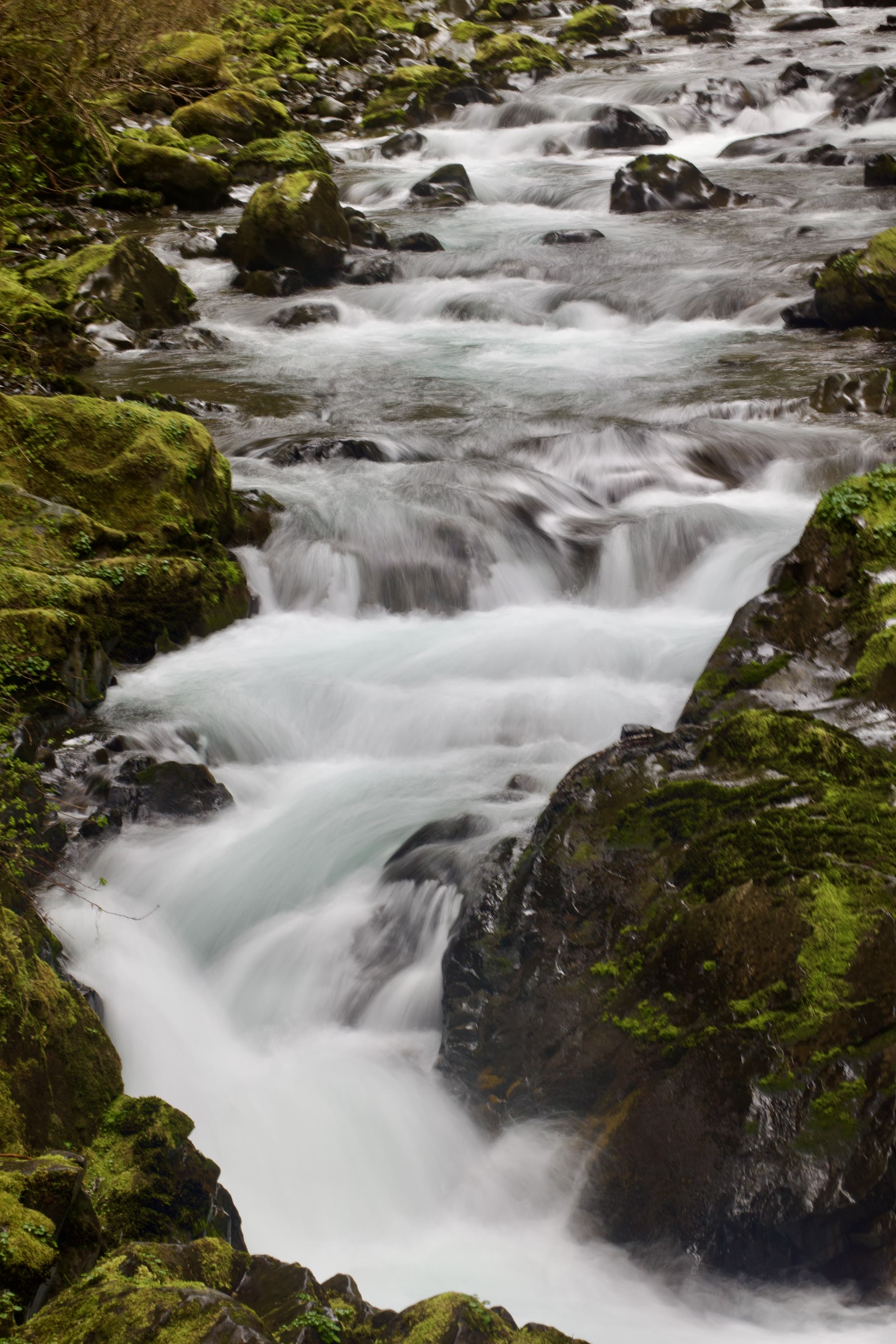 Mossy stream with soft long-exposure water